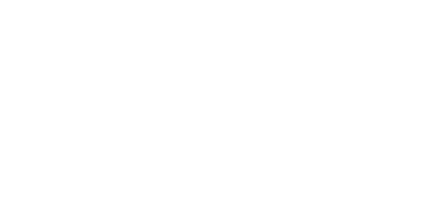 Sol Bus